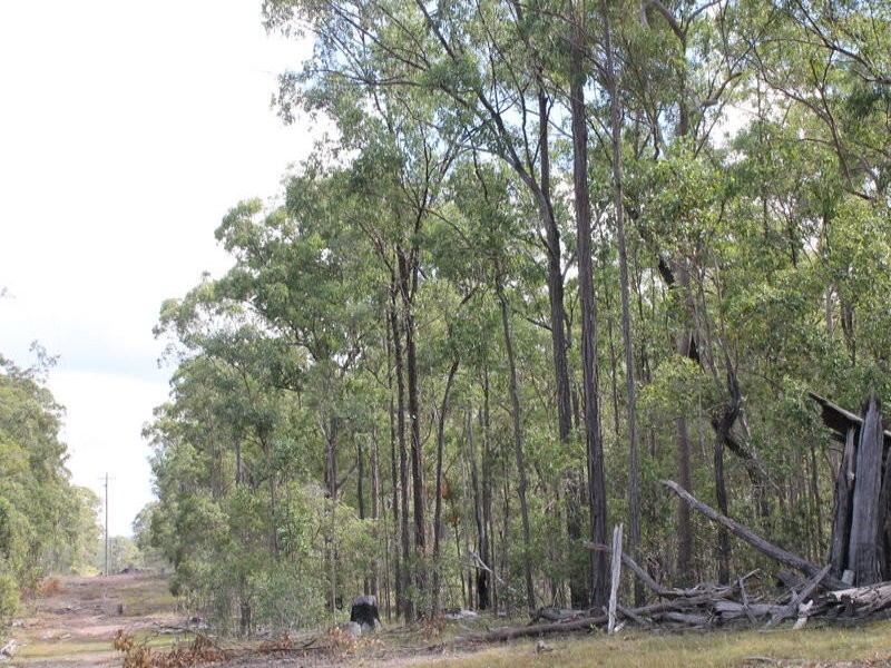 Lot 143 Newitts Road, Yandaran QLD 4673