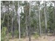 Lot 143 Newitts Road, Yandaran QLD 4673