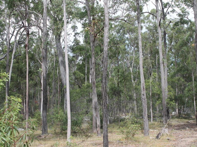 Lot 143 Newitts Road, Yandaran QLD 4673