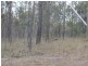 Lot 143 Newitts Road, Yandaran QLD 4673
