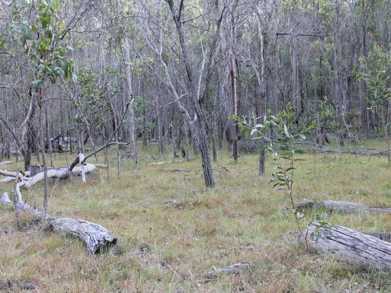 Lot 143 Newitts Road, Yandaran QLD 4673
