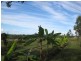 186 Martin Tobins Road, Horse Camp QLD 4671