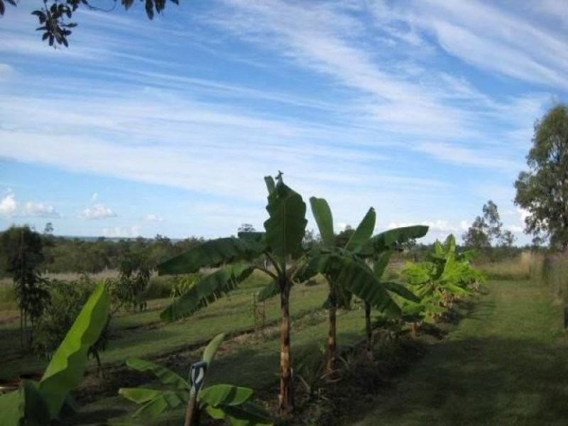 186 Martin Tobins Road, Horse Camp QLD 4671