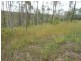 186 Martin Tobins Road, Horse Camp QLD 4671