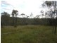 186 Martin Tobins Road, Horse Camp QLD 4671
