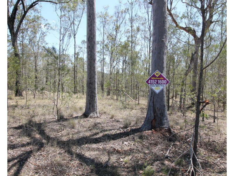 Lot 91 Horsecamp Road, Horse Camp QLD 4671