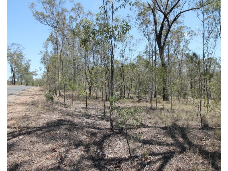 Lot 91 Horsecamp Road, Horse Camp QLD 4671