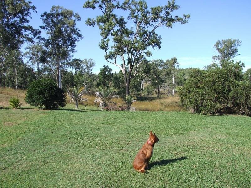 25 Bronzewing Court, Moolboolaman QLD 4671