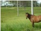 257 Sondergelds Road, Mcilwraith QLD 4671