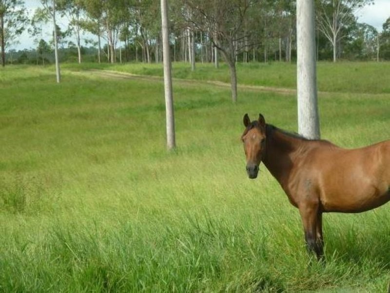 257 Sondergelds Road, Mcilwraith QLD 4671