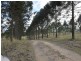 247 Back Electra Road, Electra QLD 4670