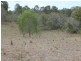 755 Hills Road, Mount Maria QLD 4674