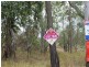 755 Hills Road, Mount Maria QLD 4674