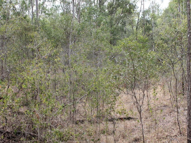755 Hills Road, Mount Maria QLD 4674