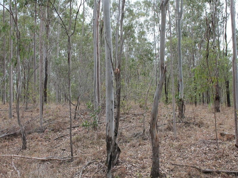 755 Hills Road, Mount Maria QLD 4674