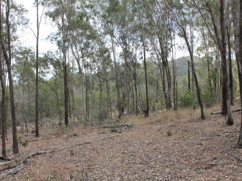 755 Hills Road, Mount Maria QLD 4674