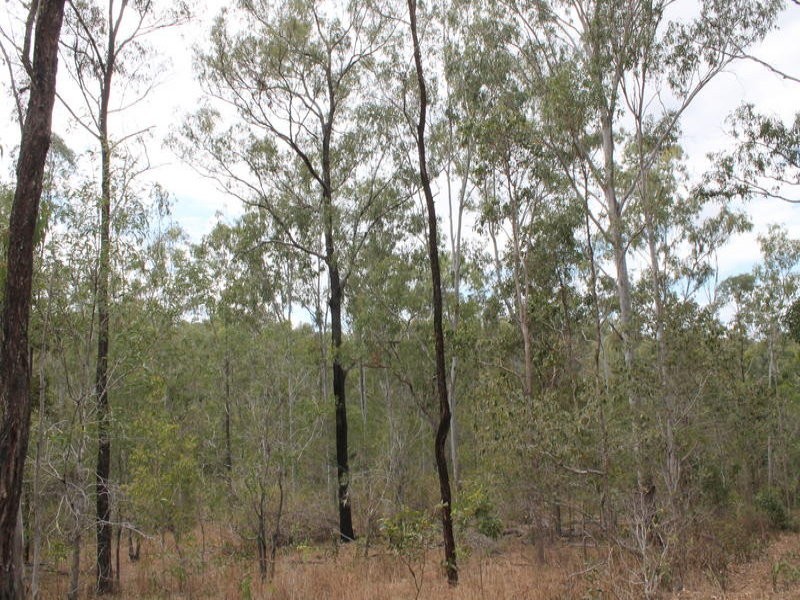 755 Hills Road, Mount Maria QLD 4674