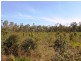 67 Walkers Road, South Bingera QLD 4670