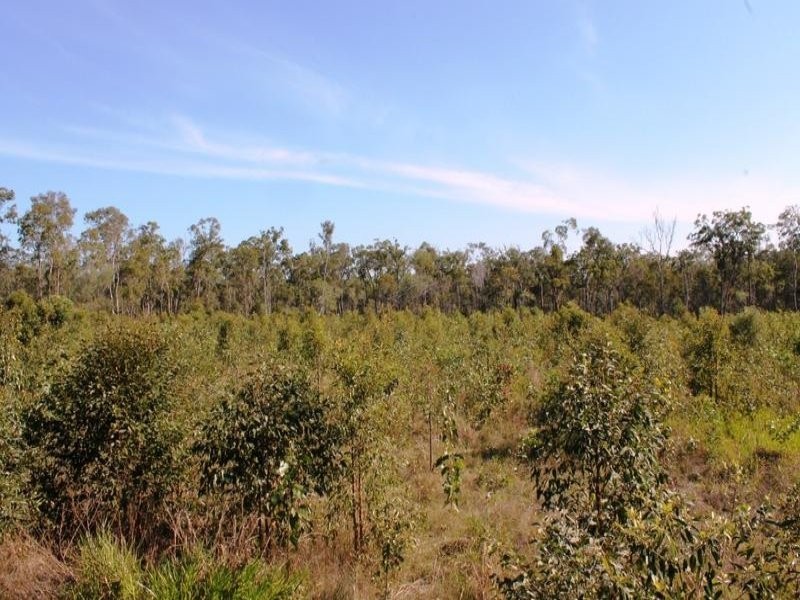 67 Walkers Road, South Bingera QLD 4670