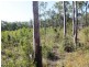 67 Walkers Road, South Bingera QLD 4670