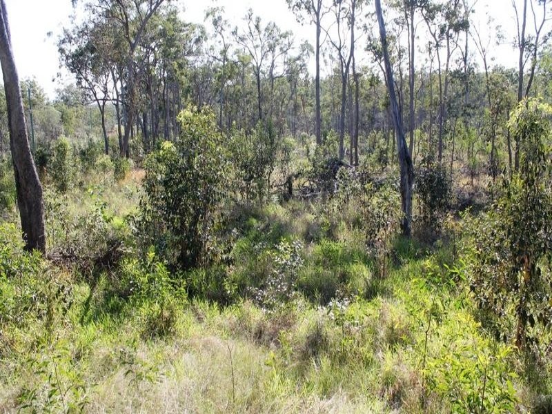 67 Walkers Road, South Bingera QLD 4670