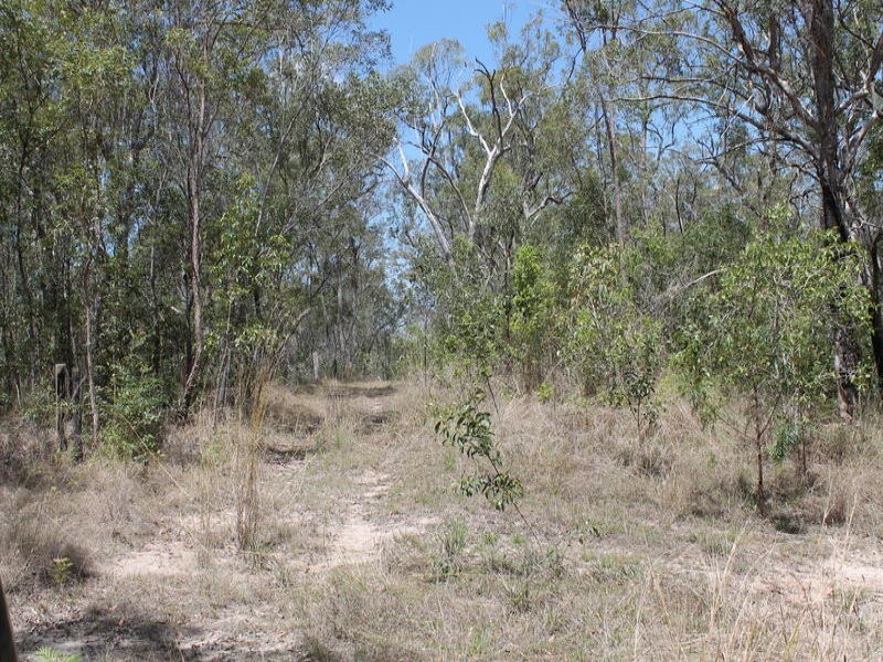 4044 Lowmead Road, Lowmead QLD 4676