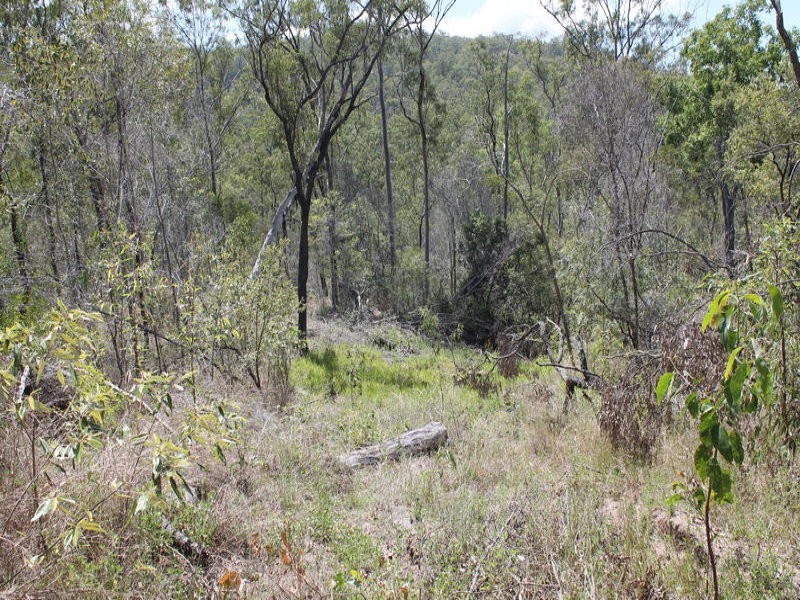 4044 Lowmead Road, Lowmead QLD 4676