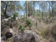 4044 Lowmead Road, Lowmead QLD 4676