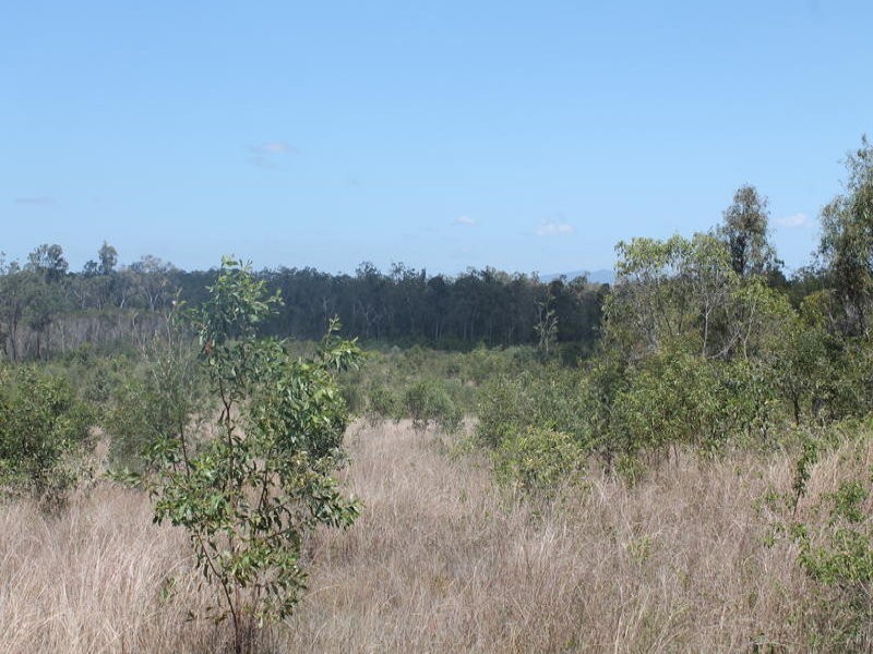 4044 Lowmead Road, Lowmead QLD 4676