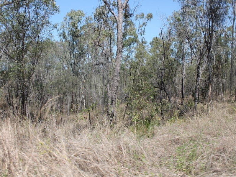 4044 Lowmead Road, Lowmead QLD 4676