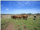 421 Grills Road, Dallarnil QLD 4621