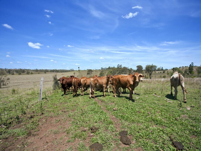 421 Grills Road, Dallarnil QLD 4621