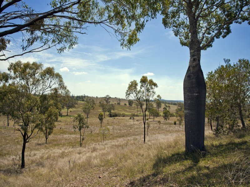 421 Grills Road, Dallarnil QLD 4621
