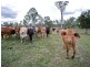 182 Rows Off Road, Duingal QLD 4671