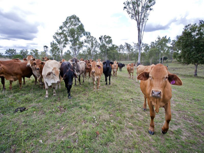 182 Rows Off Road, Duingal QLD 4671