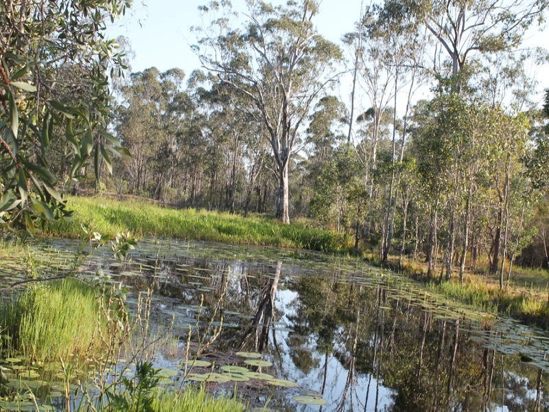 170 Bottle Creek Road, Rosedale QLD 4674