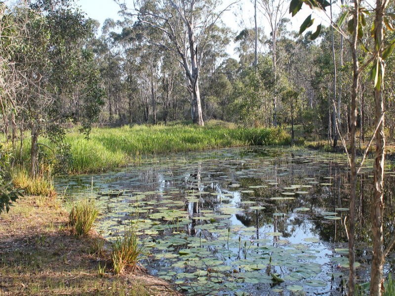 170 Bottle Creek Road, Rosedale QLD 4674