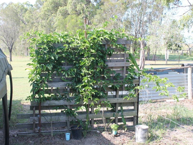 43 Plantation Road, Avondale QLD 4670