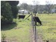 43 Plantation Road, Avondale QLD 4670