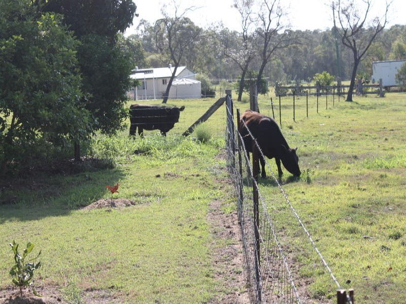 43 Plantation Road, Avondale QLD 4670