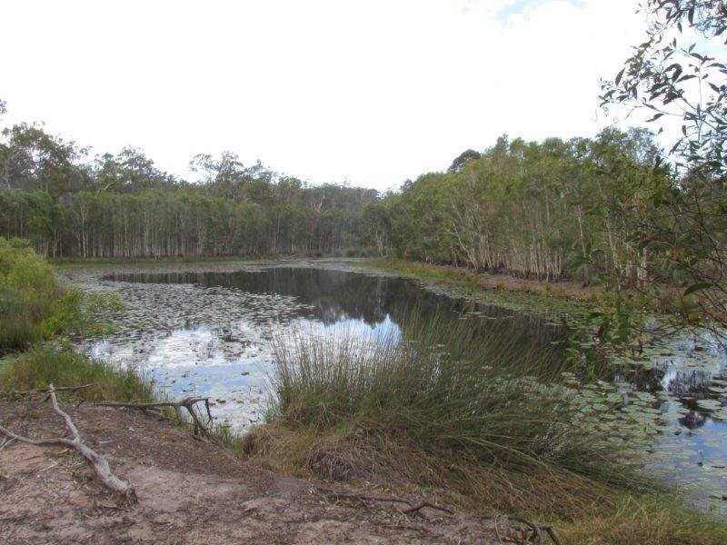 923 Winfield Road, Winfield QLD 4670
