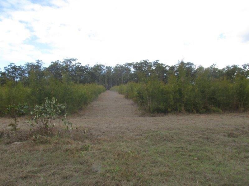 923 Winfield Road, Winfield QLD 4670
