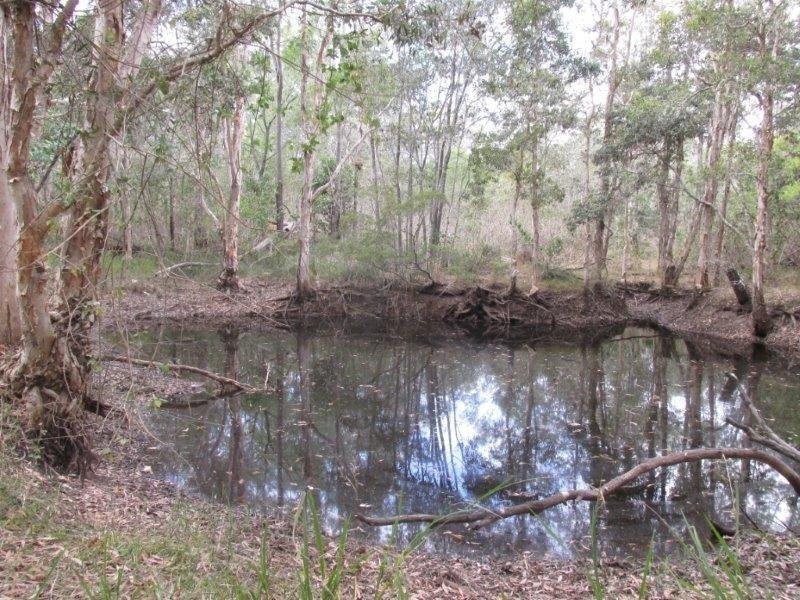 923 Winfield Road, Winfield QLD 4670