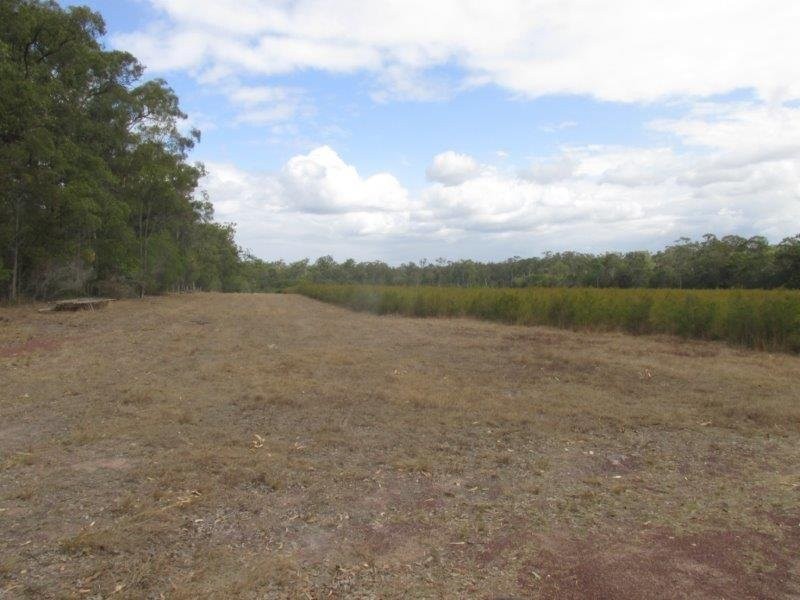 923 Winfield Road, Winfield QLD 4670