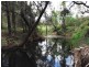 2416 Gin Gin Mt Perry Road, New Moonta QLD 4671