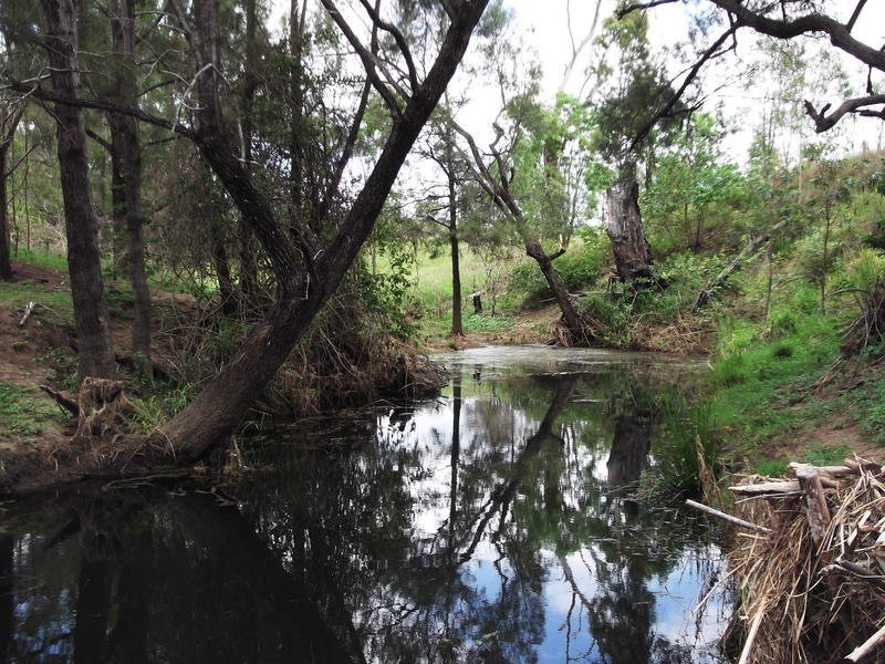 2416 Gin Gin Mt Perry Road, New Moonta QLD 4671