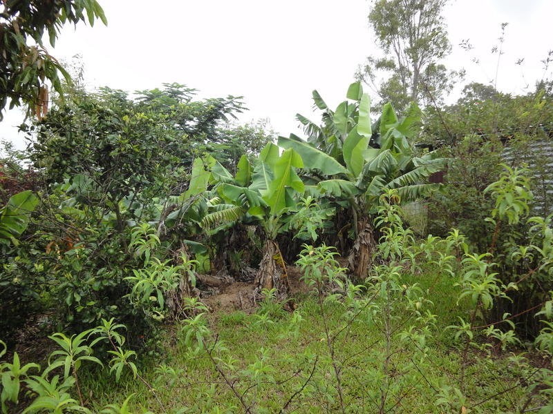 18 Lund Street, Avondale QLD 4670