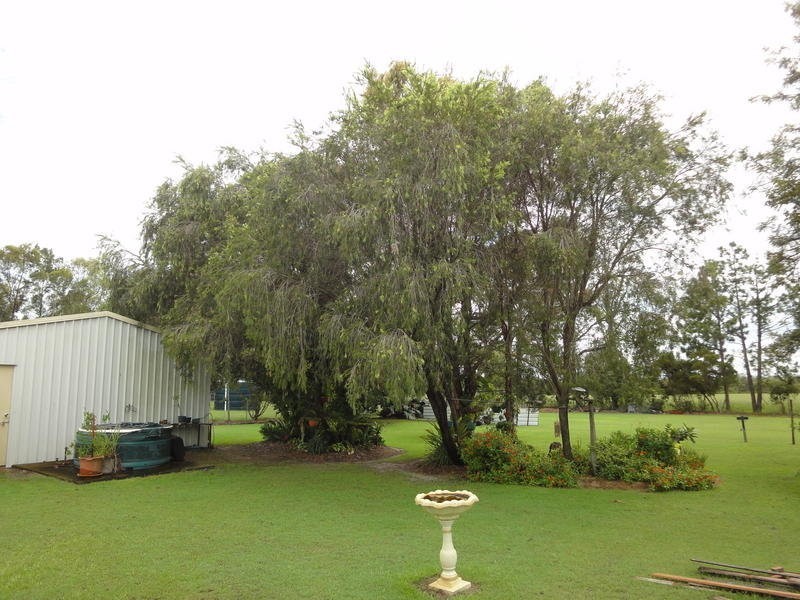 102 South Littabella Road, Yandaran QLD 4673