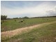1415 Ferry Road, Rosedale QLD 4674