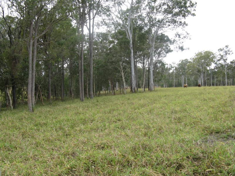 269 Boughtons Road, Bucca QLD 4670